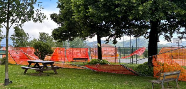 La Guida - Vento forte, rami e alberi: problemi per il traffico intorno a Cuneo