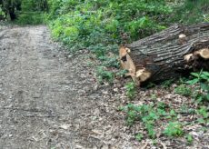 La Guida - La strada per Pian dei Lupi di Paesana è tornata percorribile 