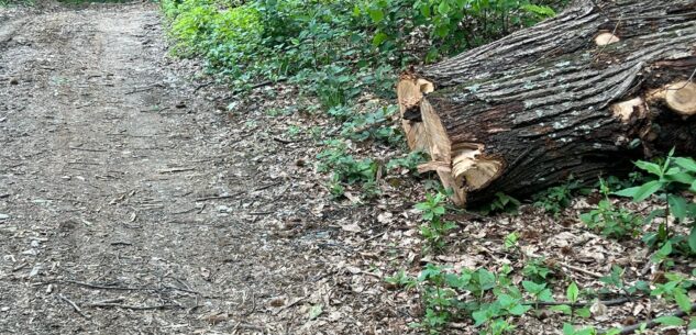 La Guida - La strada per Pian dei Lupi di Paesana è tornata percorribile 