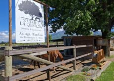 La Guida - Domenica torna la Festa di Primavera a Sant’Anna di Boves