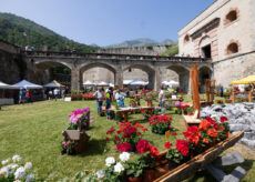 La Guida - A Vinadio appuntamento con”Forte in Fiore”