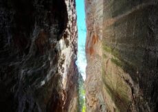 La Guida - Alla scoperta della via dell’alabastro e del bosco della Corte il 2 giugno