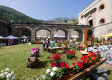 La Guida - Il Forte di Vinadio si prepara a ospitare “Forte in Fiore”