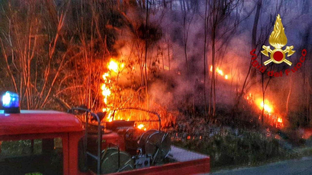 Emergenza incendi in Piemonte, persi 700mila alberi