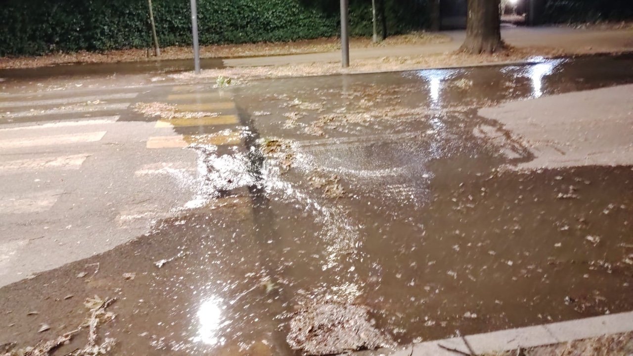 Bealera di viale Angeli ostruita di foglie, acqua dappertutto