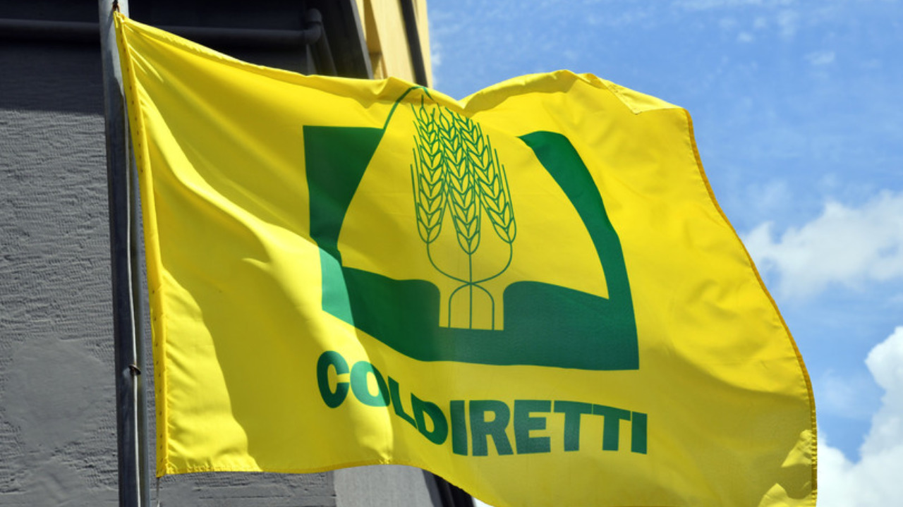 Coldiretti: "Risarcimento troppo basso per i danni da fauna selvatica"