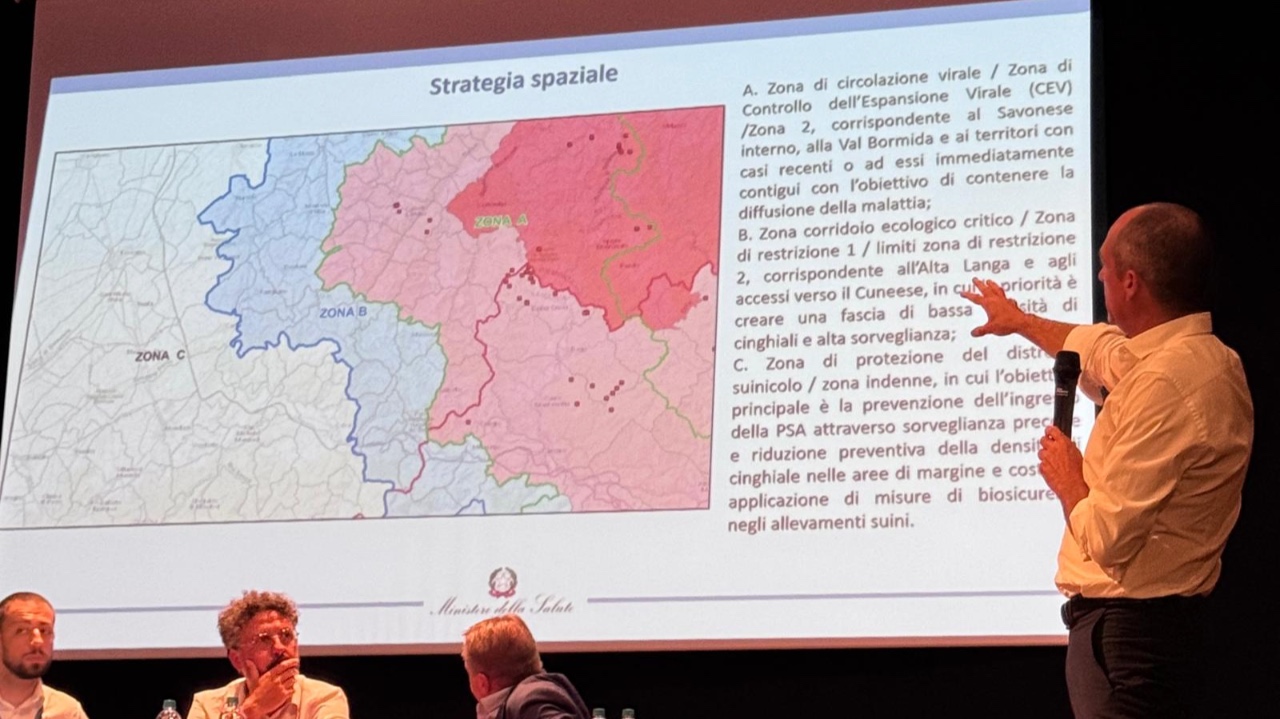Aggiornate le zone di restrizione per la peste suina africana nel Cuneese