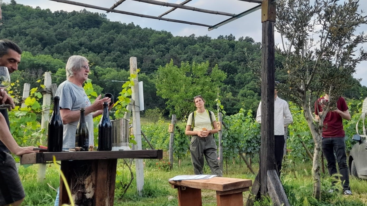 Caraglio, alla scoperta dei vigneti e del vino Merola