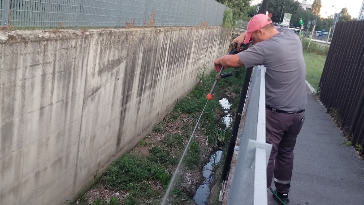 Alba, prosegue il progetto di lotta alle zanzare con monitoraggi, trattamenti e sensibilizzazione