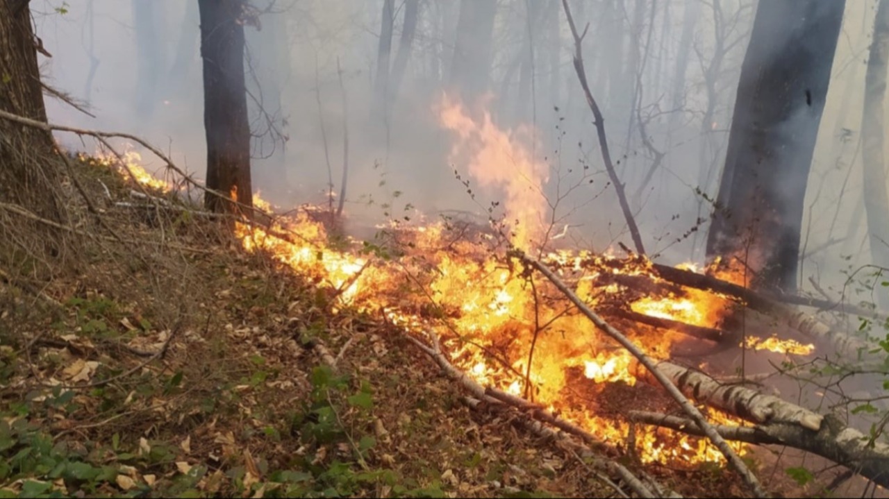 Emergenza incendi e siccità, la Regione estende all'intero Piemonte lo stato di emergenza