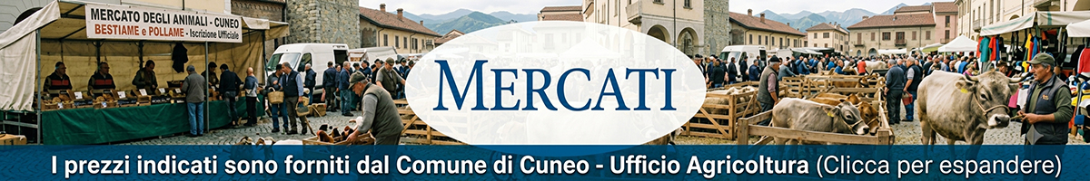 Mostra Mercati