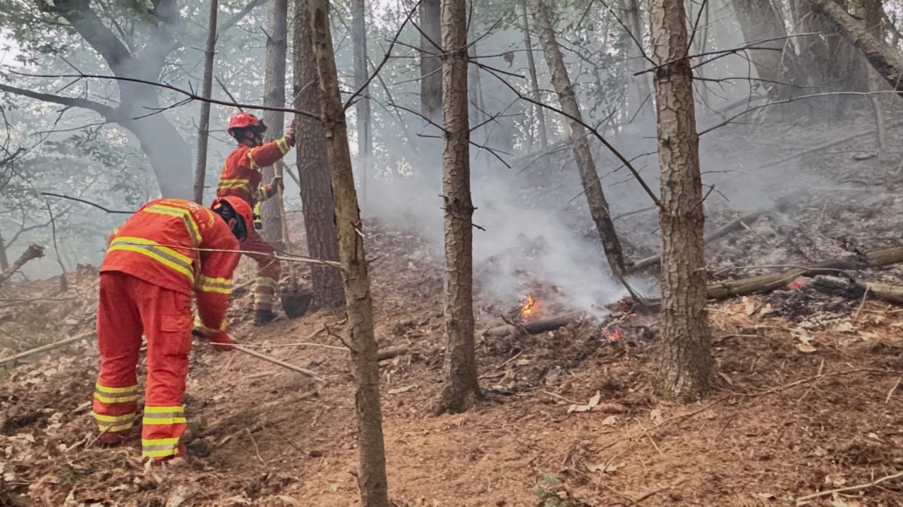 Incendio causato da un fulmine sulla collina sopra Bernezzo