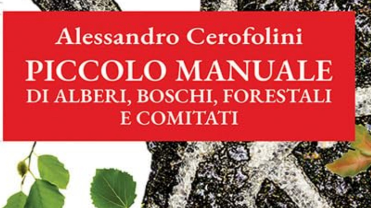 Andare nei boschi