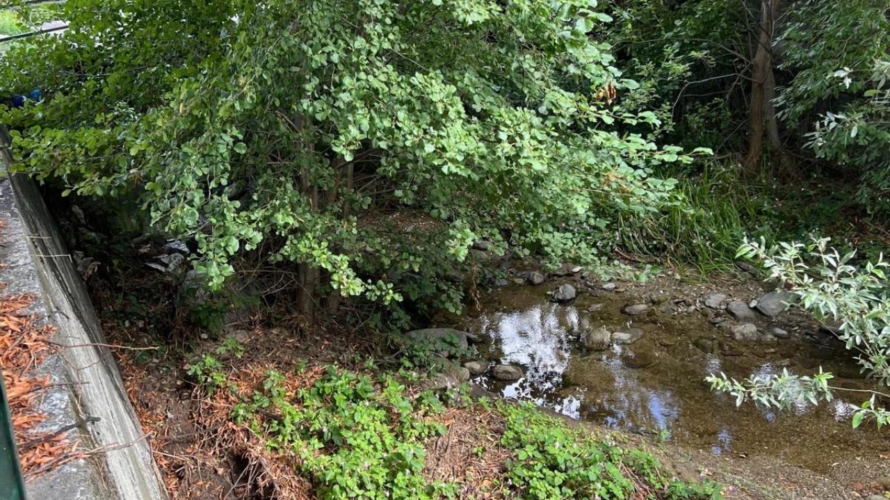 Torrente Agliasco, la Giunta di Paesana approva il progetto per la pulizia dell'alveo