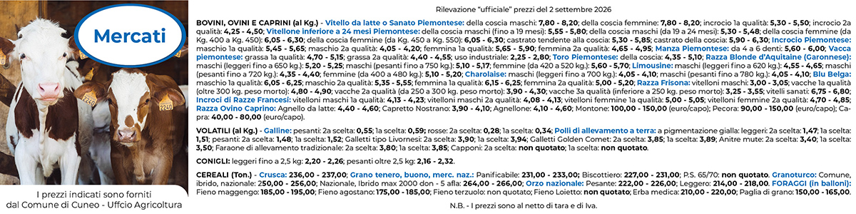 Mercati 1200x300