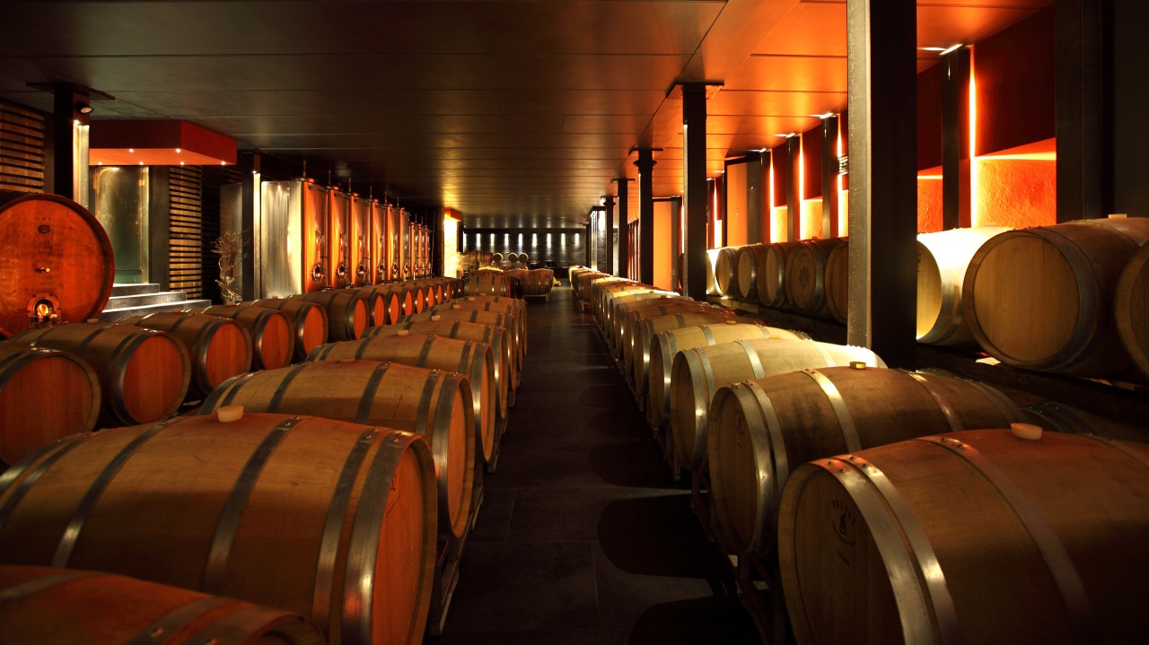 Rubano 3.000 bottiglie di Barolo a Monforte d'Alba, colpo da centinaia di migliaia di euro