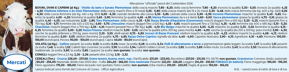 Mercati 1200x300