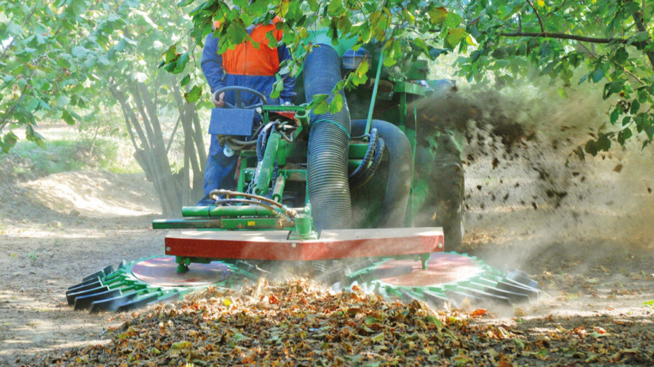 Noccioleti e vigneti in difficoltà