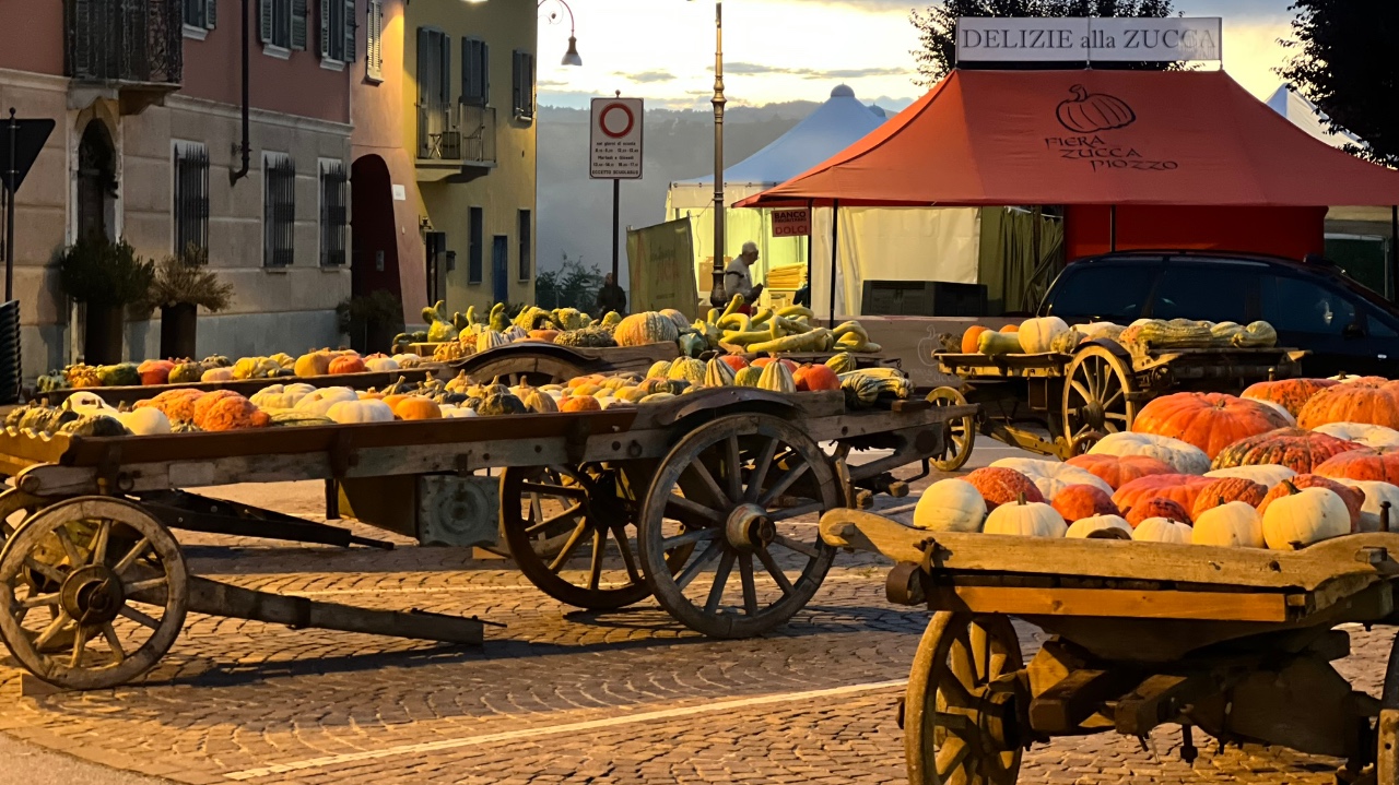 Oltre 650  varietà di zucca in mostra a Piozzo