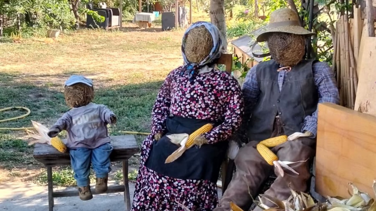 Caraglio, una serata sulla sfogliatura della meliga con canti, balli e caldarroste