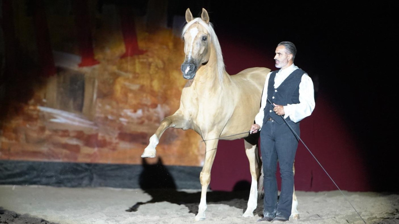 Bagnolo Piemonte celebra la terra: al via la 16ª “Rassegna Agricola e del Cavallo”