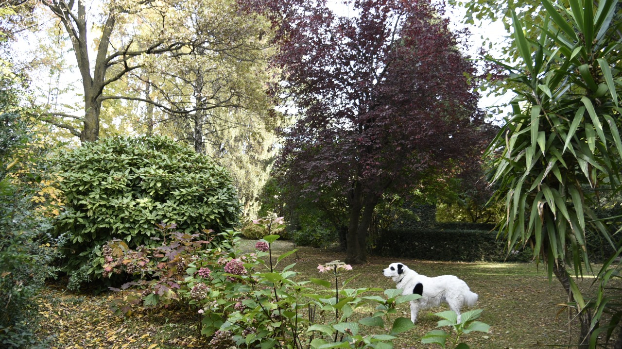 Aprono i giardini della Granda in veste autunnale