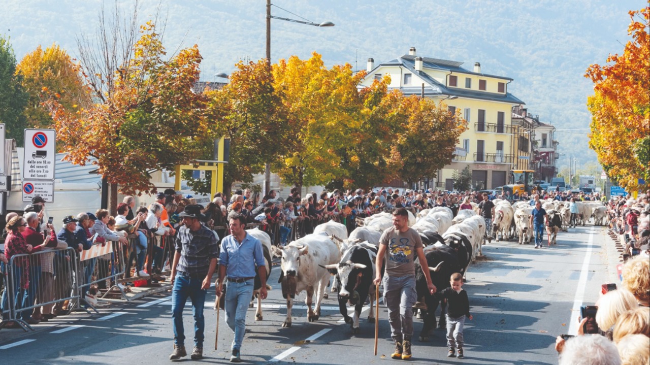 A Demonte cultura e tradizioni della Valle