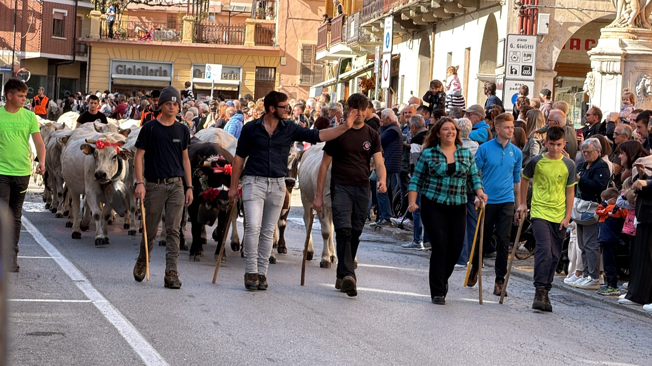 Caraglio, dopo vent’anni è tornata la transumanza (video e foto)