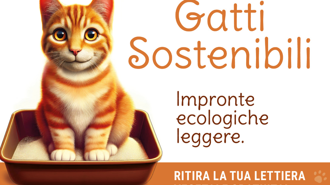 Gatti sostenibili, iniziativa del CEC nei Comuni cuneesi per promuovere le lettiere vegetali e ridurre i rifiuti
