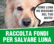 Salviamo Luna 185x150