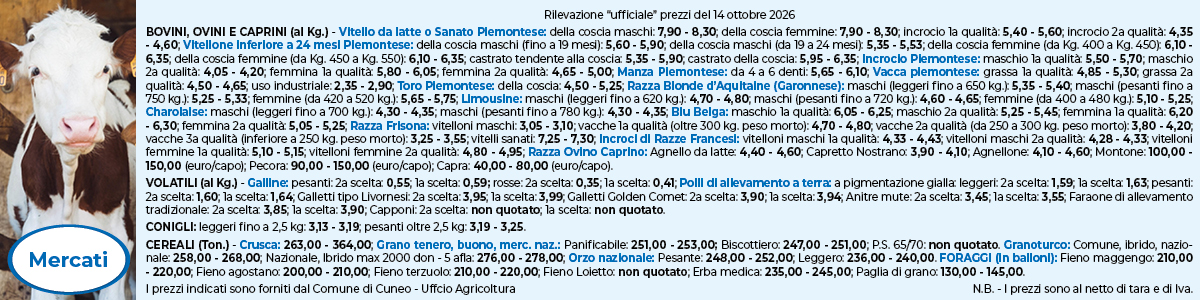 Mercati 1200x300