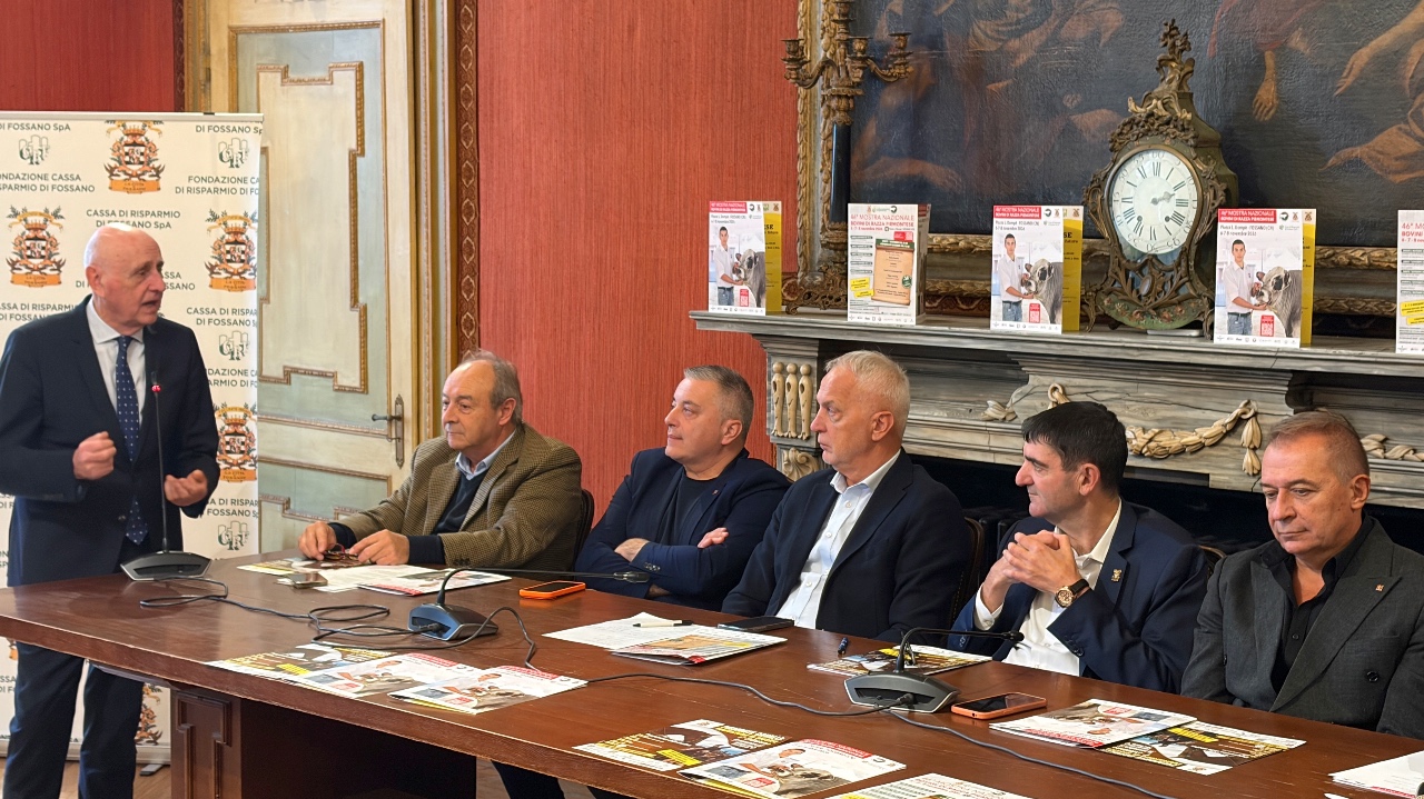 A Fossano protagonista la razza bovina Piemontese dal 6 all'8 novembre